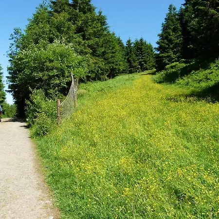 Otel Sonnenhotel Kreuzeck 3*