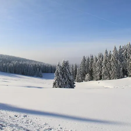 Hotel Sonnenhotel Kreuzeck Goslar